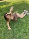 f4iryybl00d Altpins Profile Picture