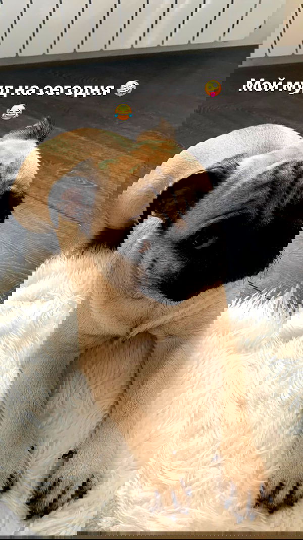 nyityam nyityam archive image