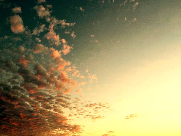 hallucineon instagram image archive image
