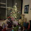 feelbetterinmysweater Altpins Profile Picture