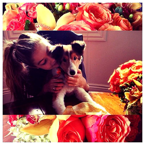 gigihadid instagram image archive image