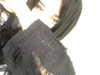 moonliliaght Altpins Profile Picture