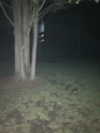 kimberr_0000 Altpins Profile Picture