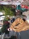 dear.zia Altpins Profile Picture