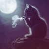3xiiicom Altpins Profile Picture