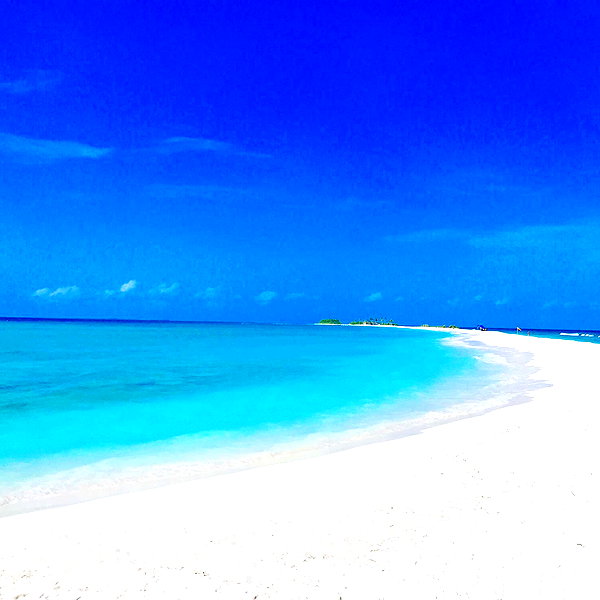 barzomer instagram image archive image