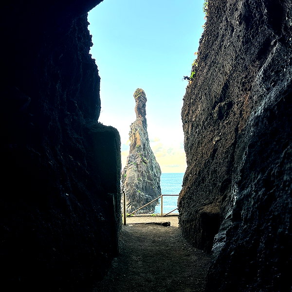 tamagotkri instagram image archive image
