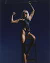 mileycyrus Altpins Profile Picture