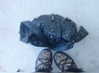 shirush.x_xd Altpins Profile Picture