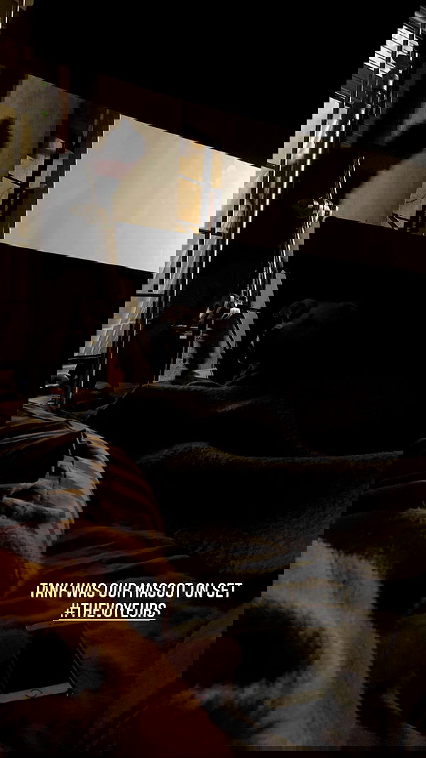 sydney_sweeney image ~ Altpins