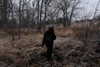 crocodile.notes Altpins Profile Picture