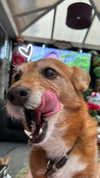 bat.wiings Altpins Profile Picture