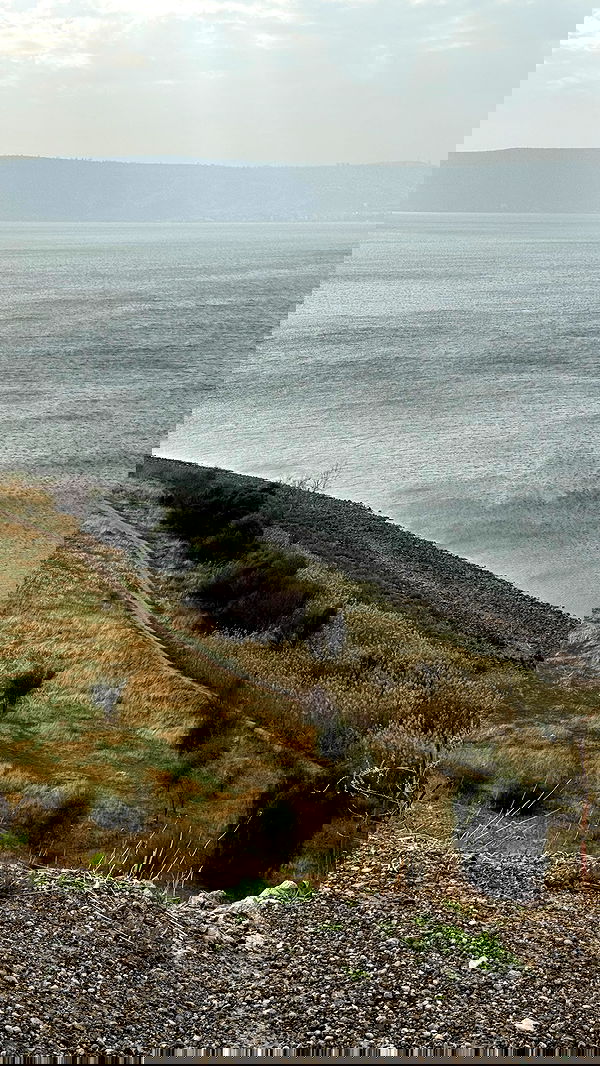 iambohema.v2 iambohema.v2 archive image