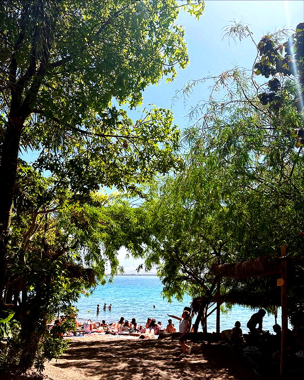 shirelokavi instagram image archive image
