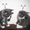 glowmoonshorty Altpins Profile Picture