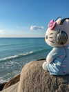 daryanedarya Altpins Profile Picture