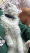 chloelilsxx Altpins Profile Picture