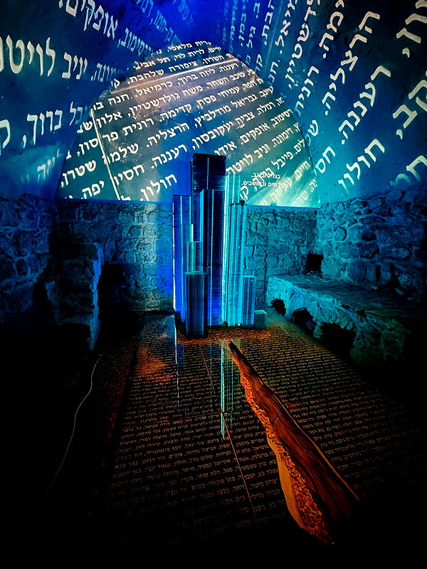 rei.sigalov instagram image archive image