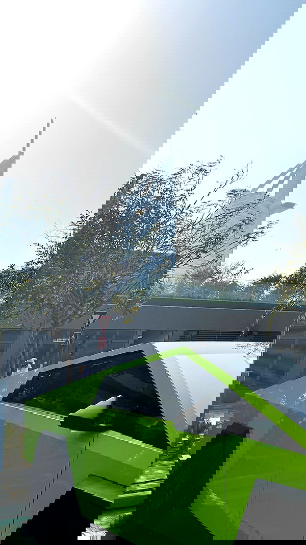 pollcherri pollcherri archive image