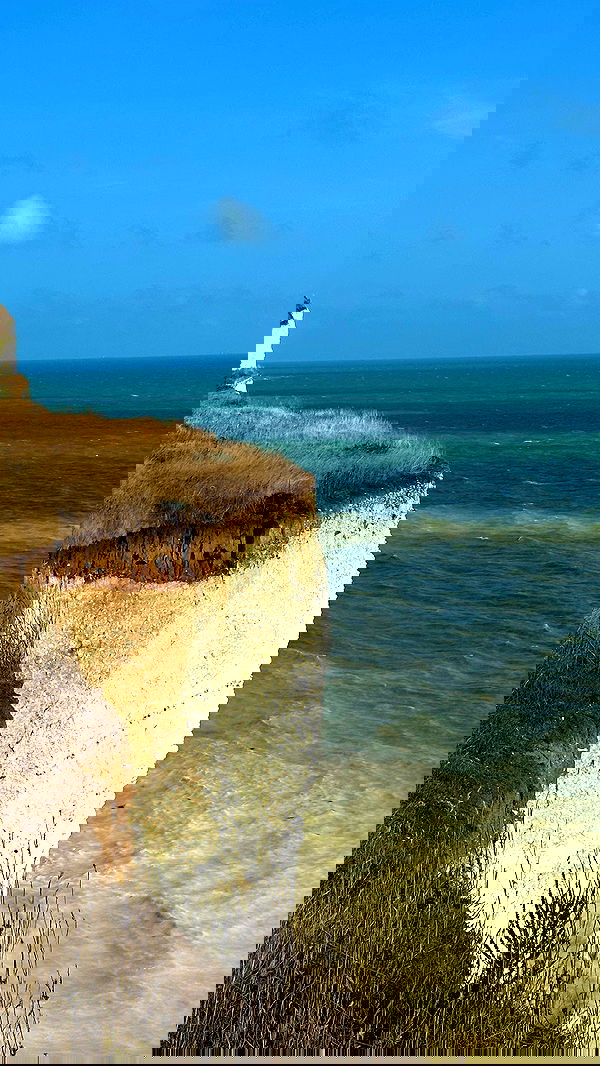 taylor.creeden taylor.creeden archive image