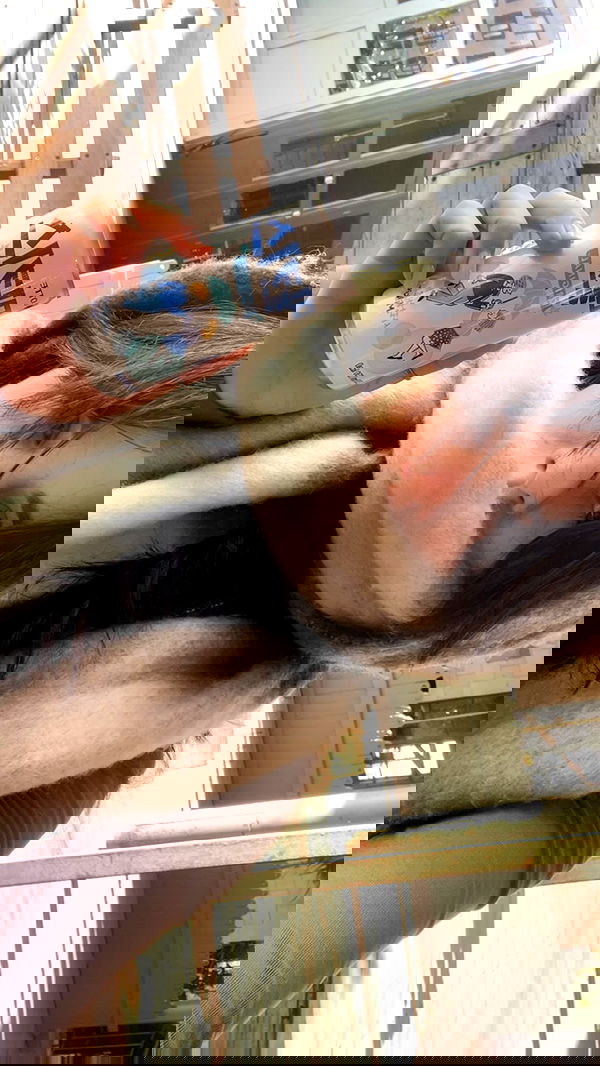 dante_yangpa dante_yangpa archive image