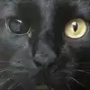 chica.niebla Altpins Profile Picture