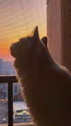 yuna_1_27 Altpins Profile Picture