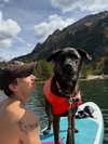 thelizzyporter Altpins Profile Picture