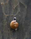 katiehamden_ Altpins Profile Picture