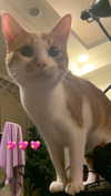 jiw_____n Altpins Profile Picture
