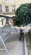 miikheeva_stasiiya Altpins Profile Picture