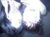 hellokittyangel666 Altpins Profile Picture