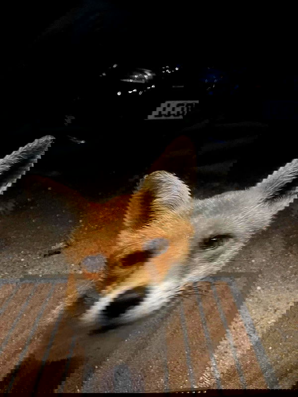 kitty.elliss kitty.elliss archive image