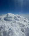 rouxroux.tv Altpins Profile Picture