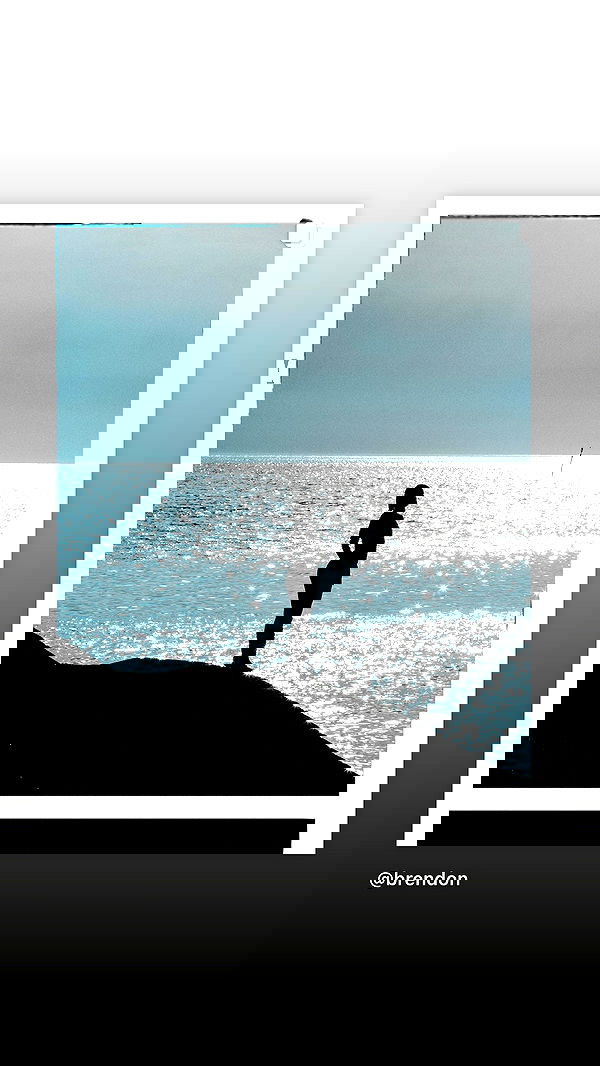 taylor.creeden taylor.creeden archive image