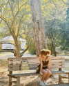 __rrenard__ Altpins Profile Picture