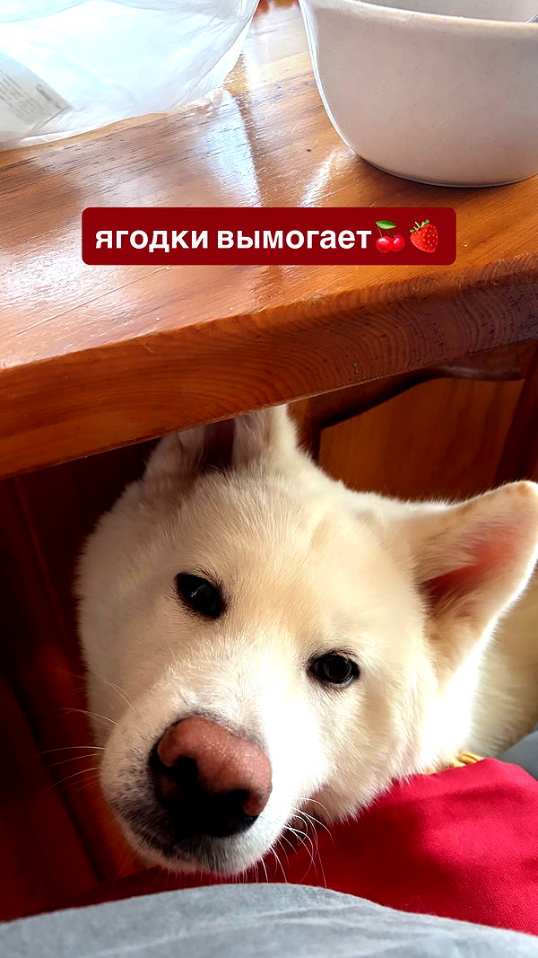 kriskaik instagram image archive image