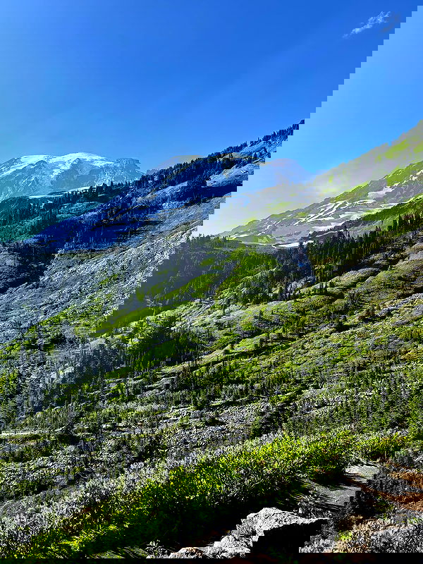 thelizzyporter thelizzyporter archive image