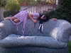 leonanaomii Altpins Profile Picture