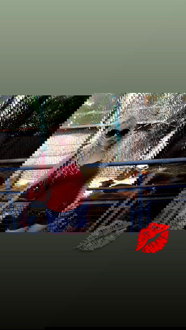 ormosheee ormosheee archive image