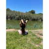 xangeljinx Altpins Profile Picture