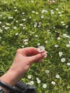 nomagdalina Altpins Profile Picture
