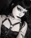 kittenfangsxx Altpins Profile Picture