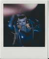 xtina Altpins Profile Picture