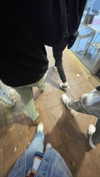 dante_yangpa Altpins Profile Picture