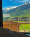 ll.lu1s Altpins Profile Picture