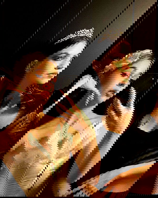 pinx_ir pinx_ir archive image