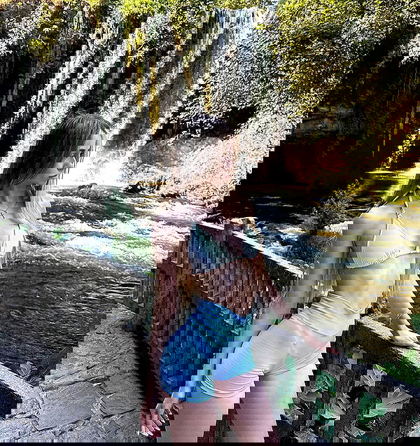 pinx_ir pinx_ir archive image