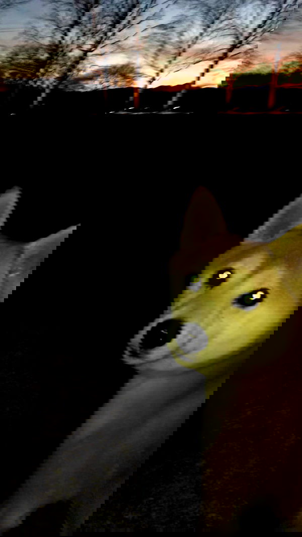 zommmbri zommmbri archive image