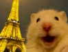 tooonytoony Altpins Profile Picture